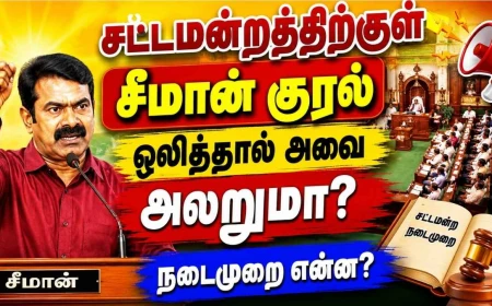 சட்டமன்றத்திற்குள் சீமான் குரல் ஒலித்தால் "அவை" அலறுமா? நடைமுறை என்ன? 