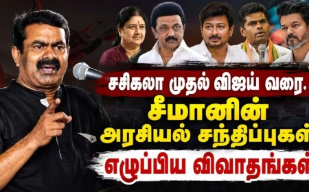 சசிகலா முதல் உதயநிதி, விஜய் வரை... சீமானைச் சுற்றி எழுந்த அரசியல் விவாதங்களின் முழுப் பகுப்பாய்வு