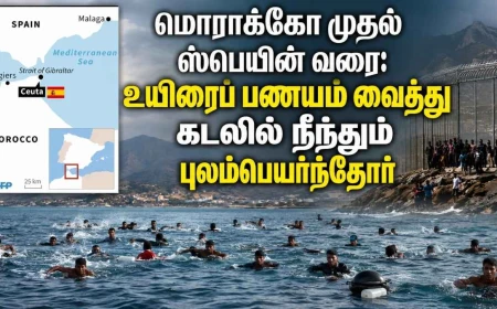 மொராக்கோ–ஸ்பெயின் கடல் வழிப்  புலம்பெயர்வு: ஏன் உயிரைப் பணயம் வைத்து நீந்திச் செல்கிறார்கள்?