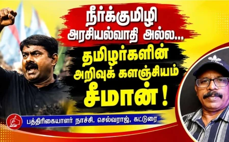 நீர்க்குமிழி அரசியல்வாதி அல்ல சீமான்... தமிழர்களின் அறிவுக் களஞ்சியம்! – நாச்சி செல்வராஜ் சிறப்பு கட்டுரை