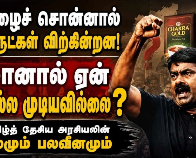 தமிழைச் சொன்னால் பொருட்கள் விற்கின்றன; சீமானுக்கு வாக்குகள் ஏன் கிடைக்கவில்லை?  சீமான் அரசியலின் பலமும் பலவீனமும்: தமிழ்த் தேசியம் ஆட்சியாக மாறாதது ஏன்?
