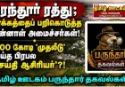 பரந்தூர் ரத்து பின்னணியில் என்ன நடந்தது? முன்னாள் அமைச்சர்கள் முதல் ₹100 கோடி ‘முதலீடு’ வரை | பருந்தார் தகவல்கள்