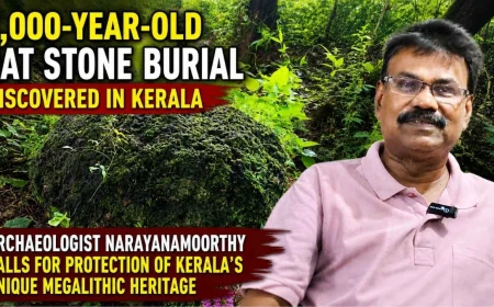 3,000-Year-Old Hat Stone Burial Discovered in Kerala: Archaeologist Narayanamoorthy Urges Heritage Protection