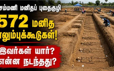செம்மணி மனிதப் புதைகுழி: 572 மனித எலும்புக்கூடுகள் அடையாளம் | 54ஆம் நாள் அகழ்வில் மேலும் 10
