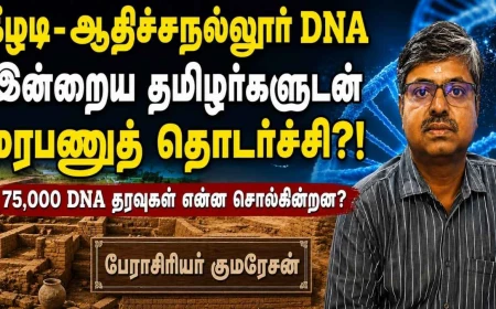 75,000 DNA தரவுகள்: கீழடி–ஆதிச்சநல்லூர் மக்களுக்கும் இன்றைய தென்னிந்தியர்களுக்கும் மரபணுத் தொடர்பு! தமிழர் தொன்ம வரலாற்றில் ஒரு திருப்புமுனை