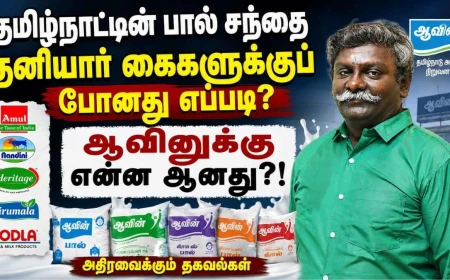 ஆவினுக்கு என்ன ஆனது? தமிழ்நாட்டின் பால் சந்தையில் தனியார் நிறுவனங்கள் ஆதிக்கம் செலுத்துவது ஏன்?