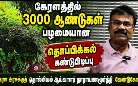 கேரளத்தில் 3000 ஆண்டுகள் பழமையான தொப்பிக்கல் கண்டுபிடிப்பு: பெருங்கற்காலப் புதைகுழி குறித்து தொல்லியல் ஆய்வாளர் நாராயணமூர்த்தி விளக்கம்