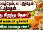 மலைத்தேன், காட்டுத்தேன், பெட்டித்தேன் – எது சிறந்த தேன்? அறிவியல் சொல்வது என்ன?