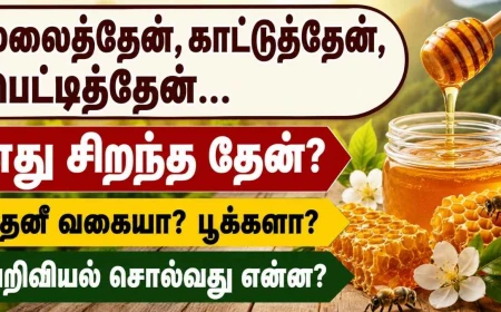 மலைத்தேன், காட்டுத்தேன், பெட்டித்தேன் – எது சிறந்த தேன்? அறிவியல் சொல்வது என்ன?
